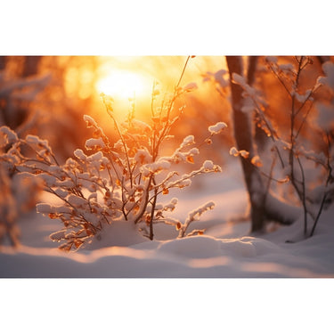 Cute Winter Canvas